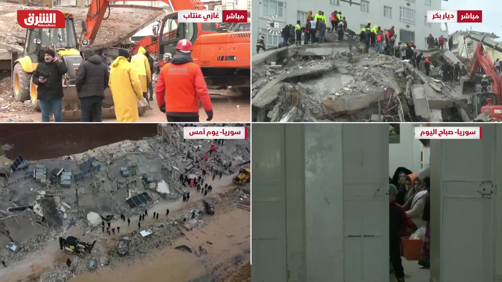 رهف عبود: خطط الاستجابة للزلزال سيتم الإعلان عنها في مؤتمر صحفي الساعة 12