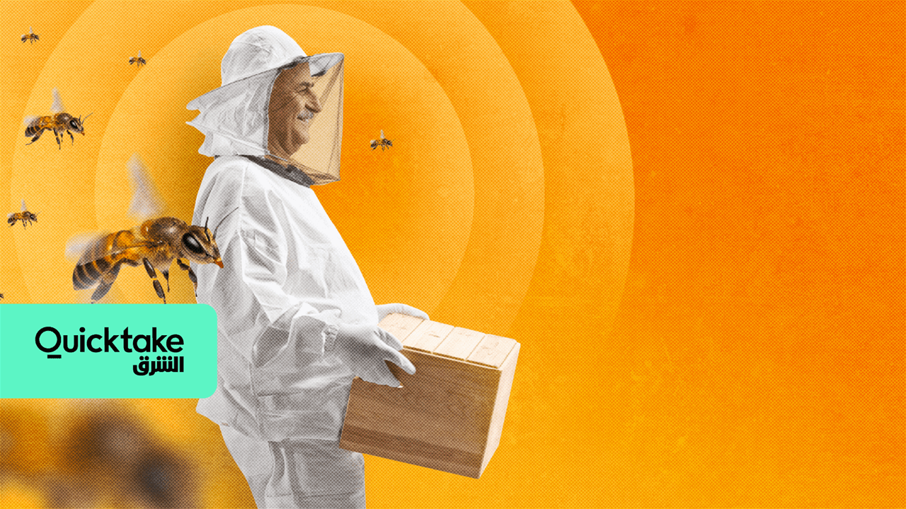 كيف أحدثت شركة أميركية طنيناً في عالم النحل؟