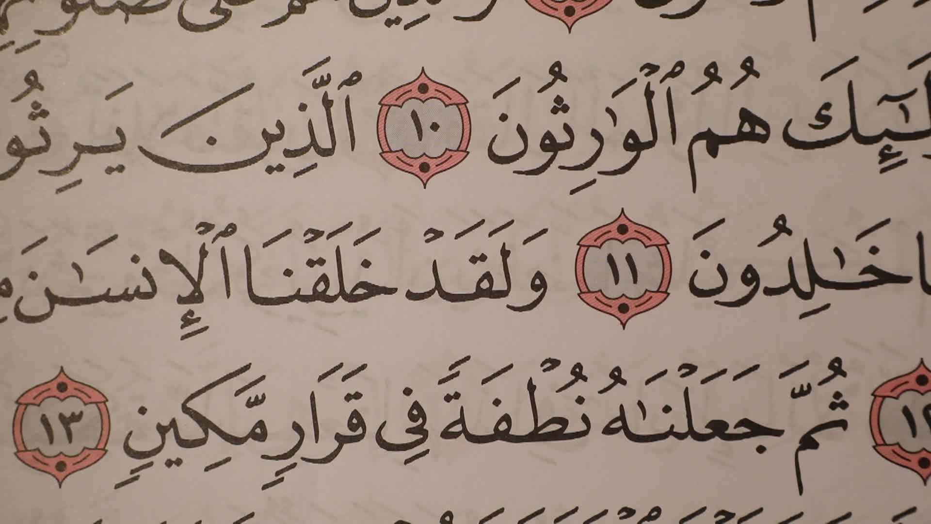 الحلقة 25