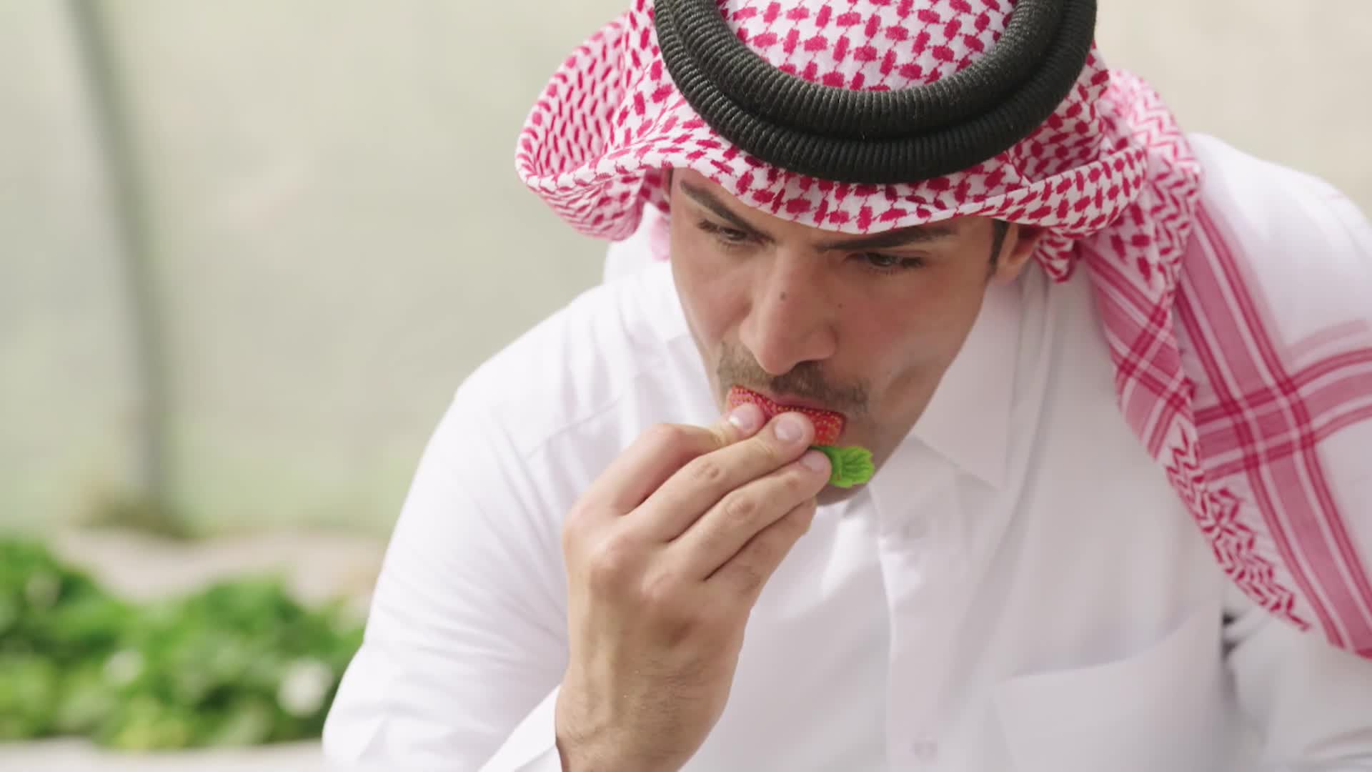 الحلقة 15