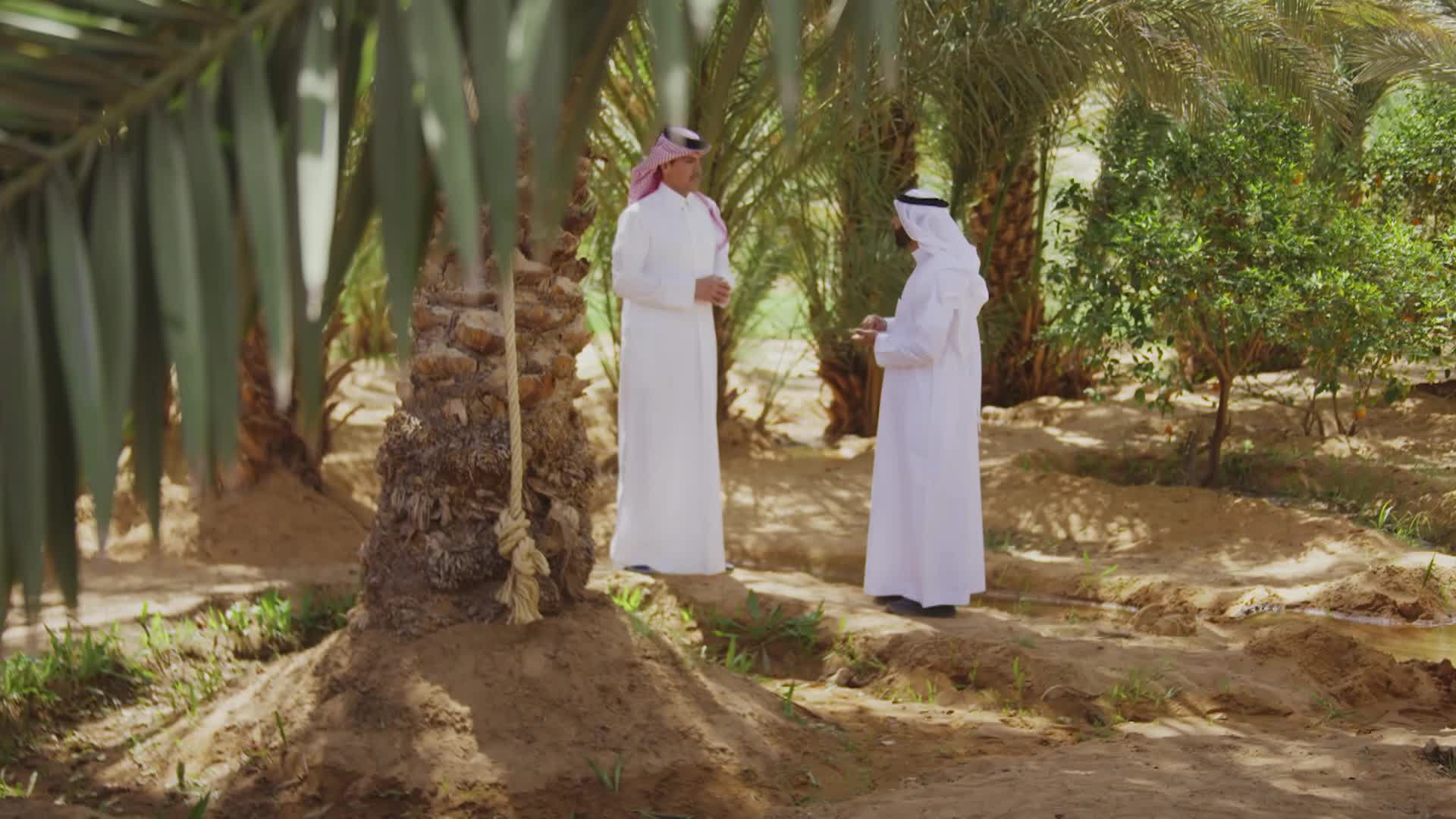 الحلقة 9