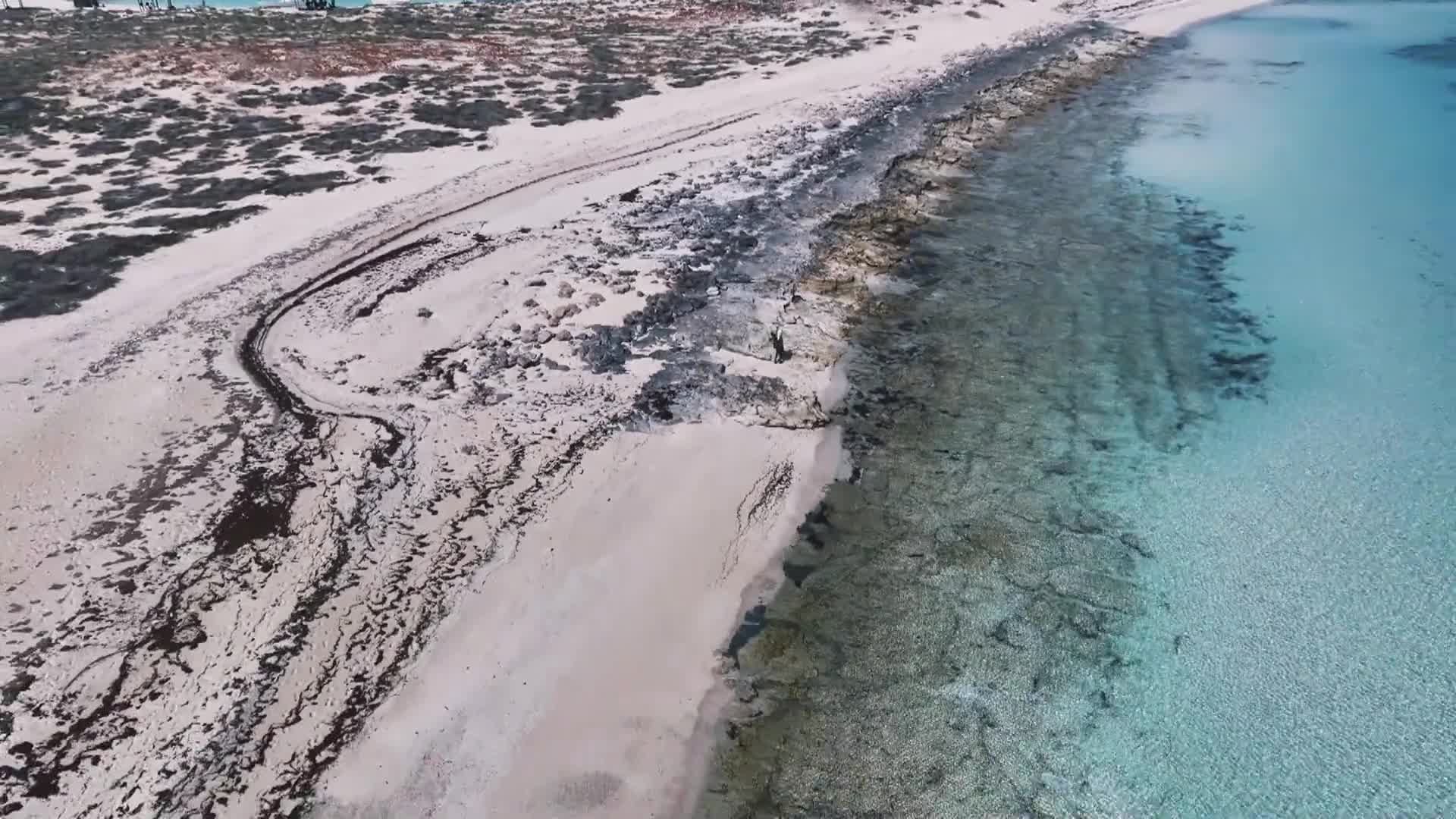 الحلقة 2