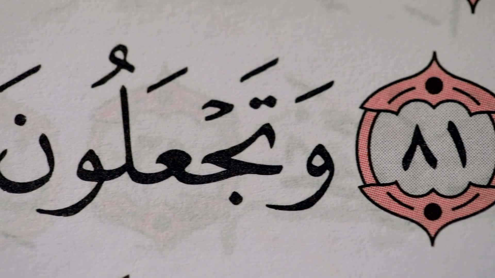 الحلقة 6