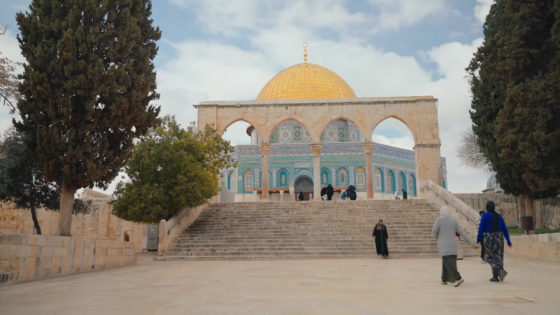 الحلقة 11