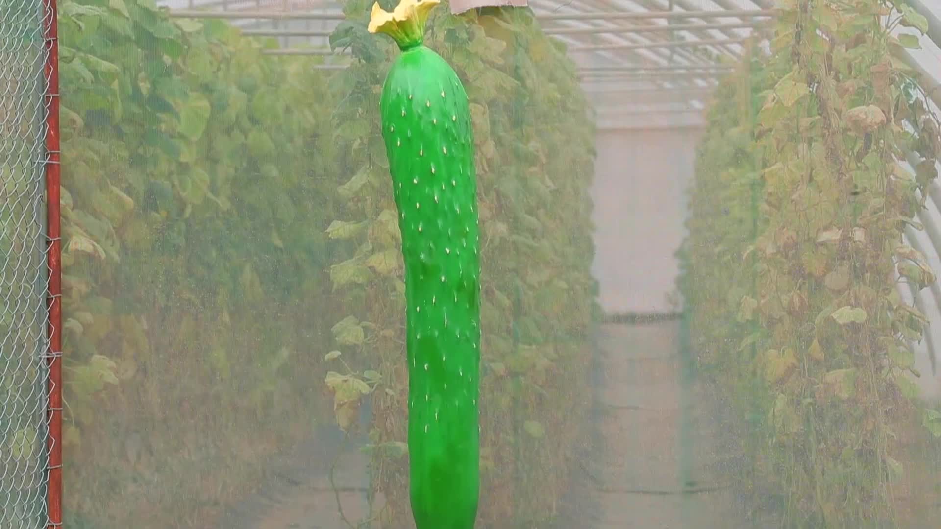الحلقة 10