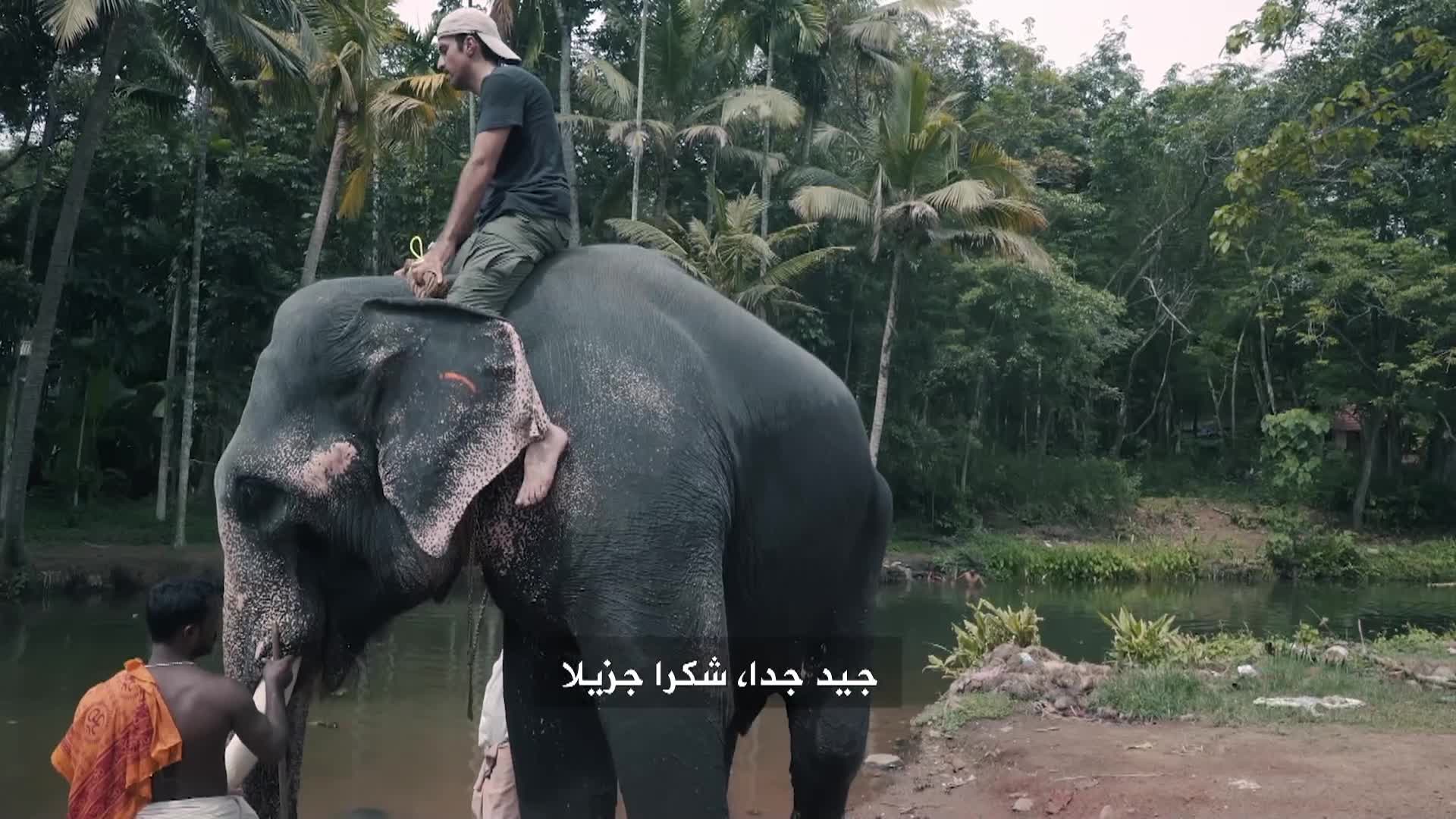 الحلقة 7