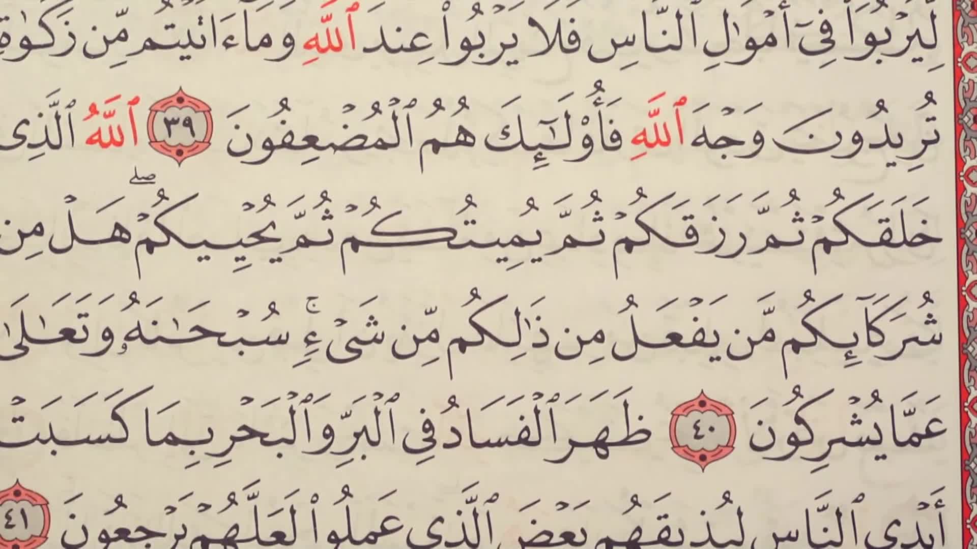 الحلقة 24