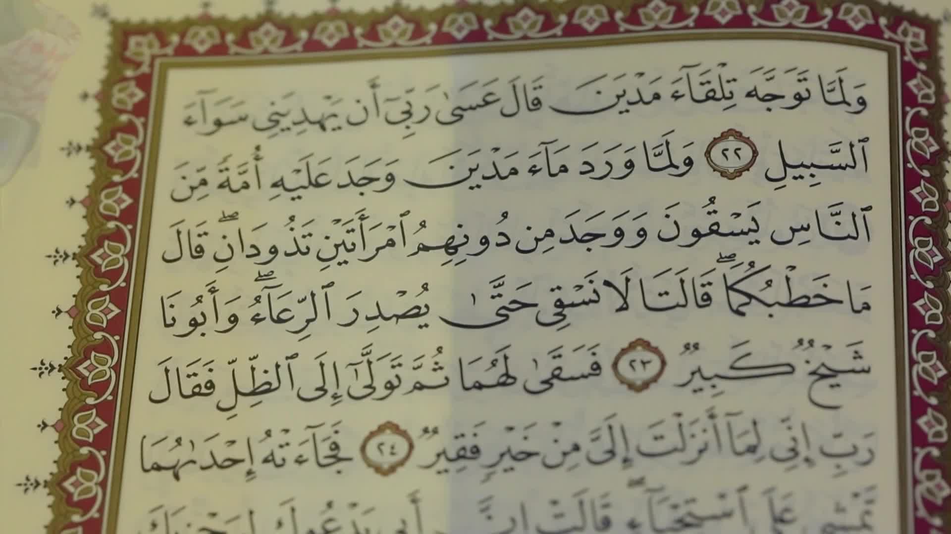 الحلقة 12