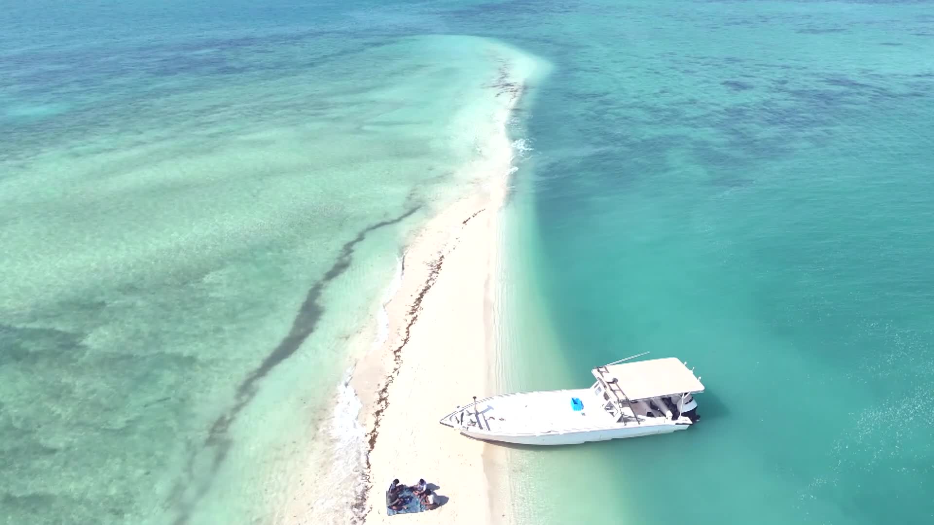 الحلقة 7