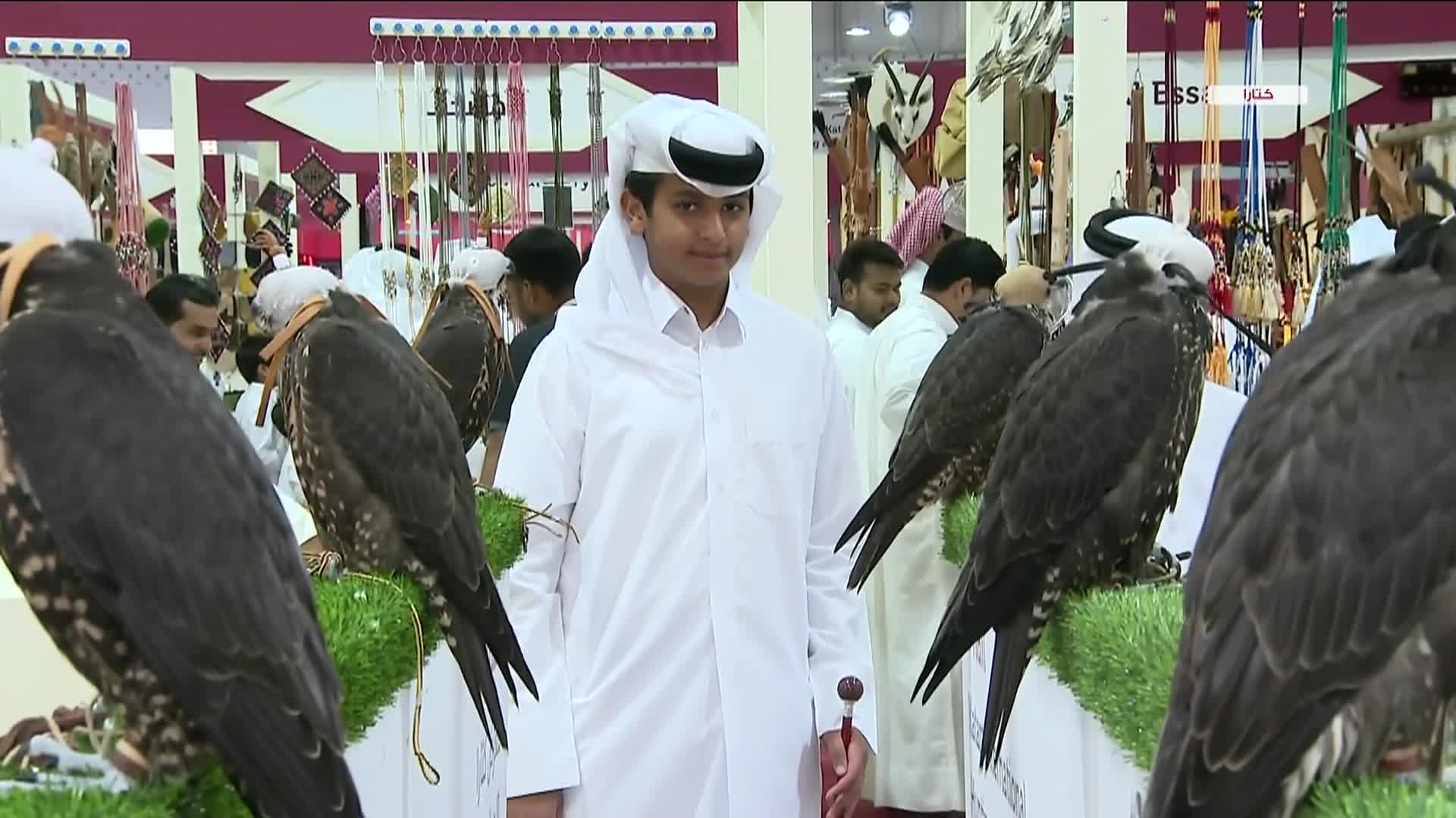 تغطية اليوم الرابع لمعرض كتارا الدولي للصيد والصقور سهيل 2024