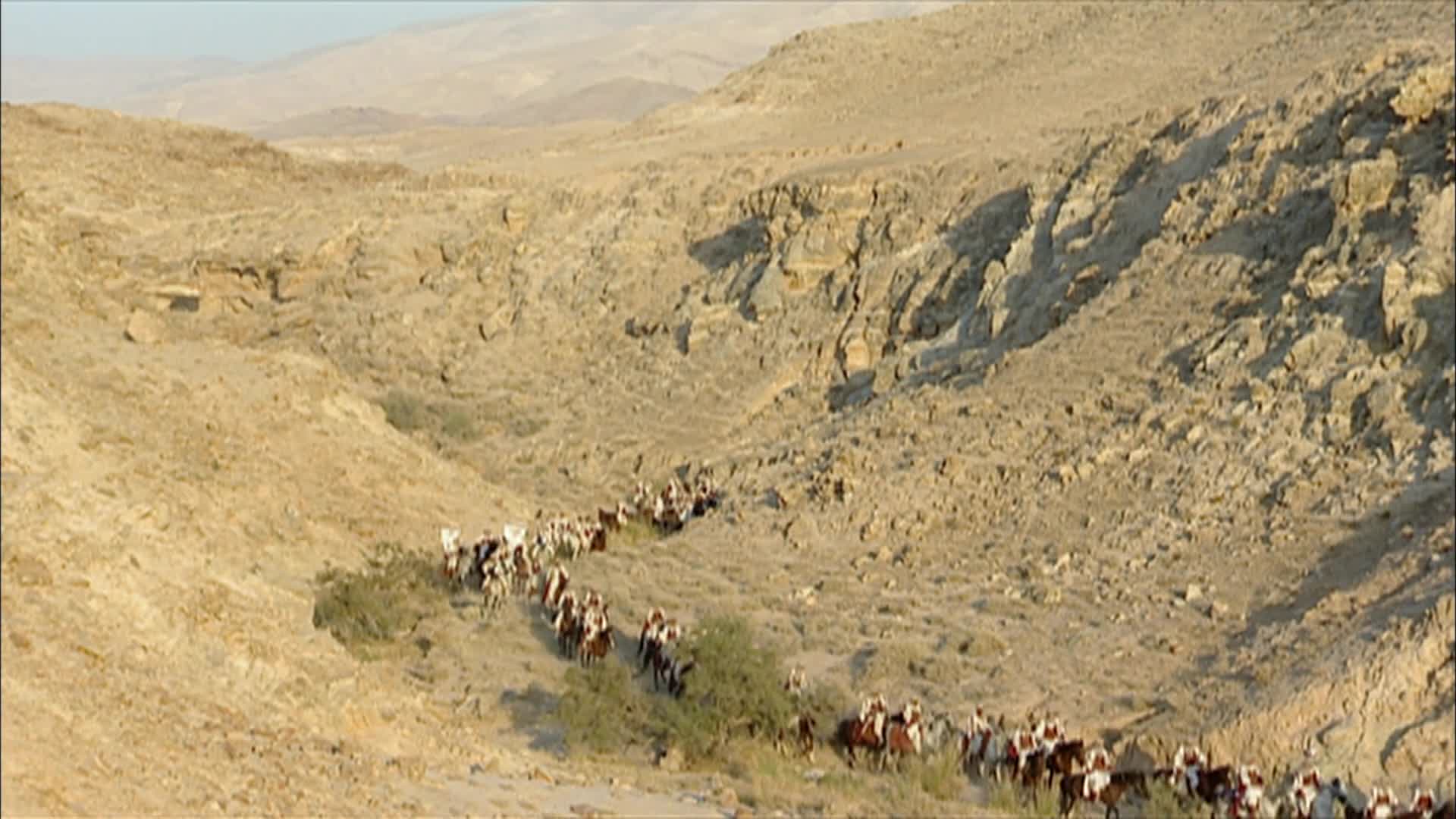 الحلقة 7