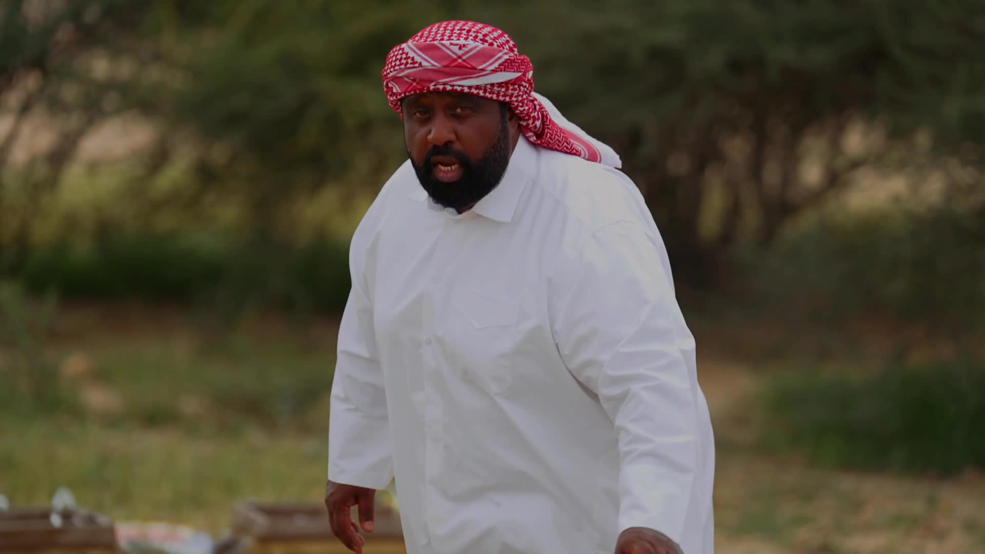 الحلقة 15