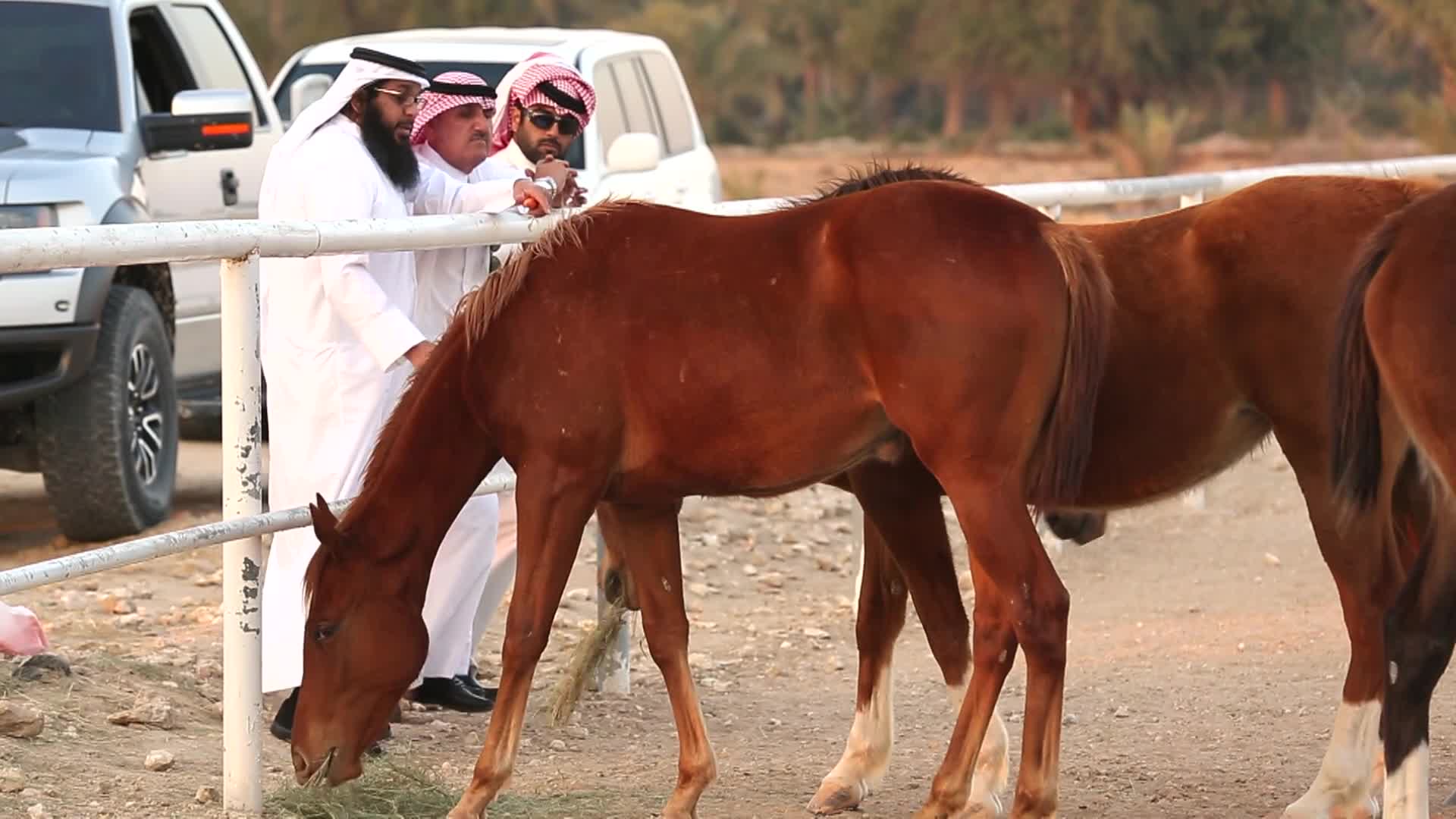 الحلقة 8