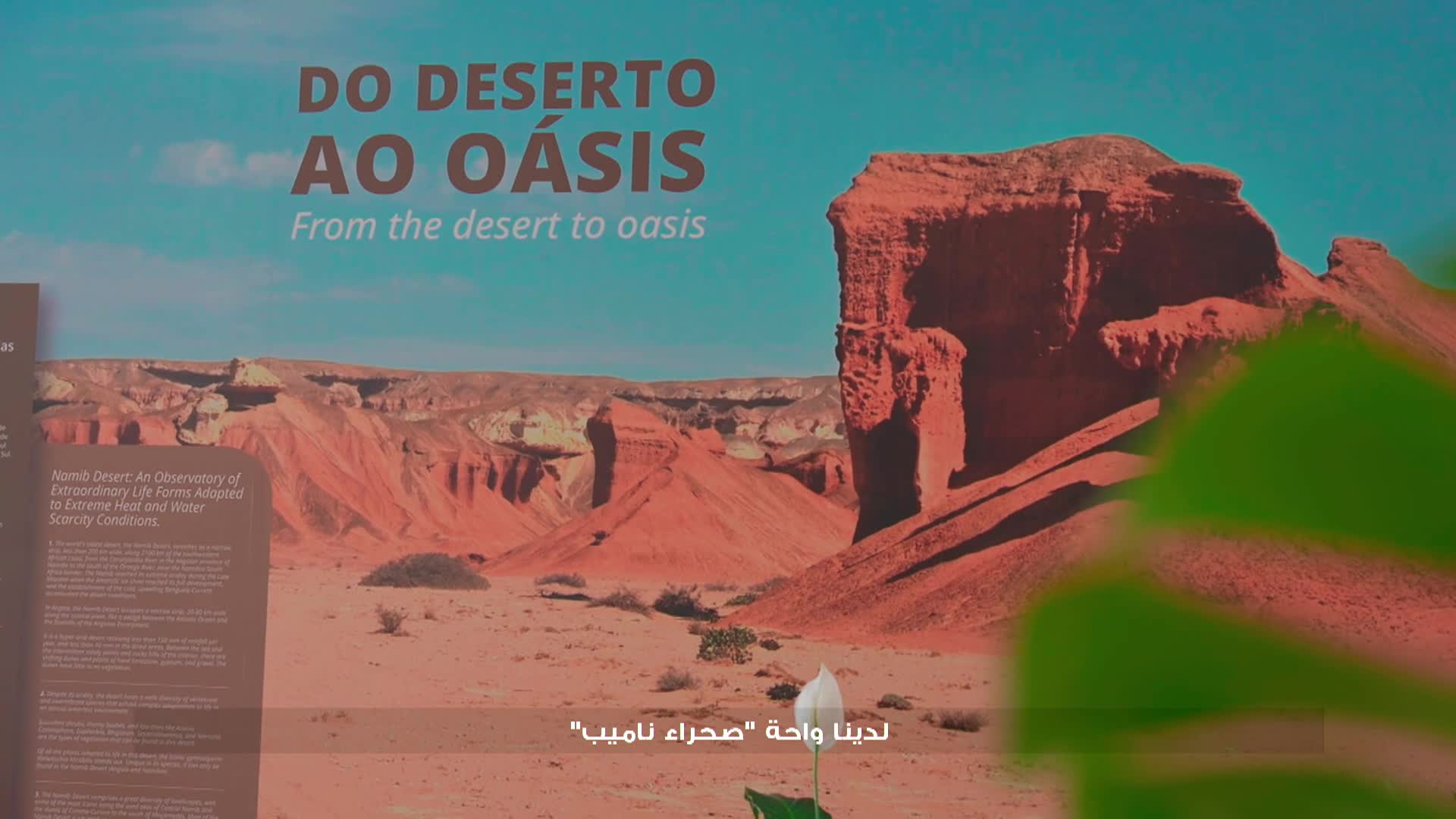 الحلقة 16