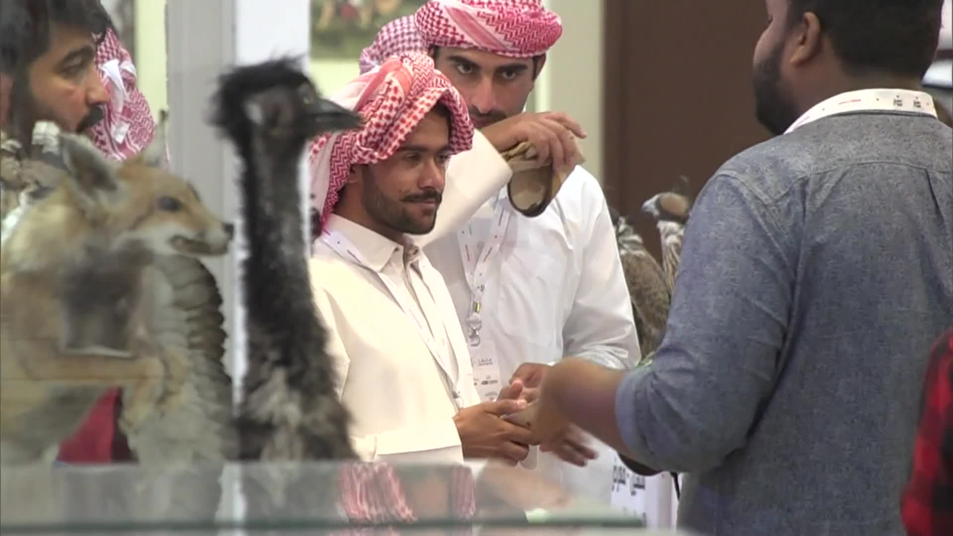 تغطية اليوم الاول معرض كتارا الدولي للصيد والصقور "سهيل"