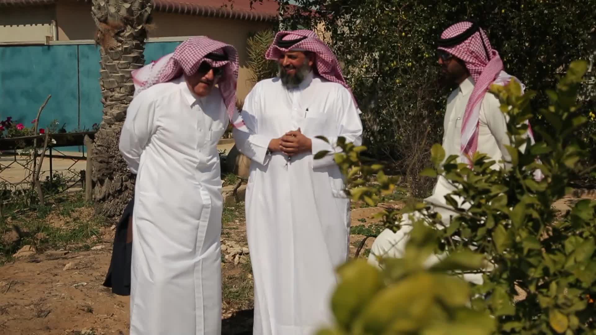 الحلقة 7