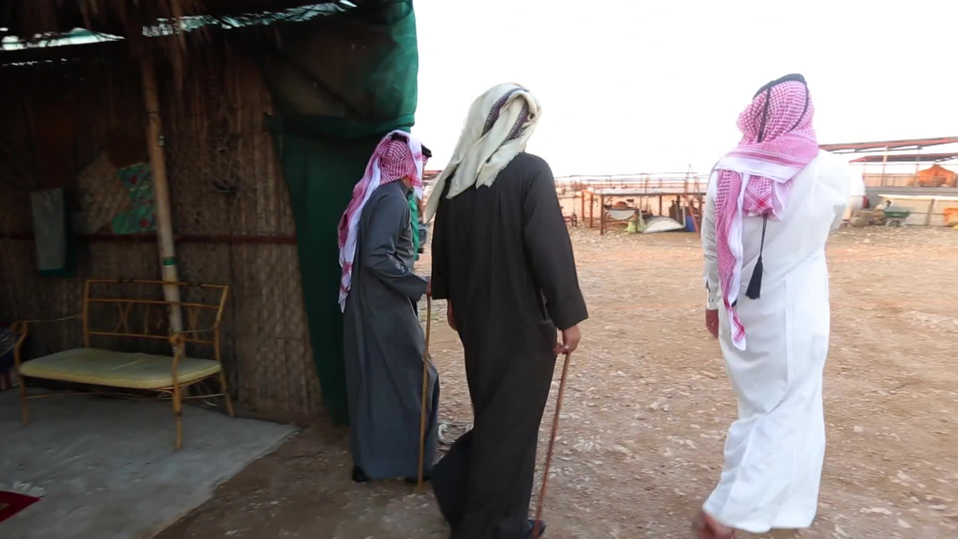 الحلقة 2