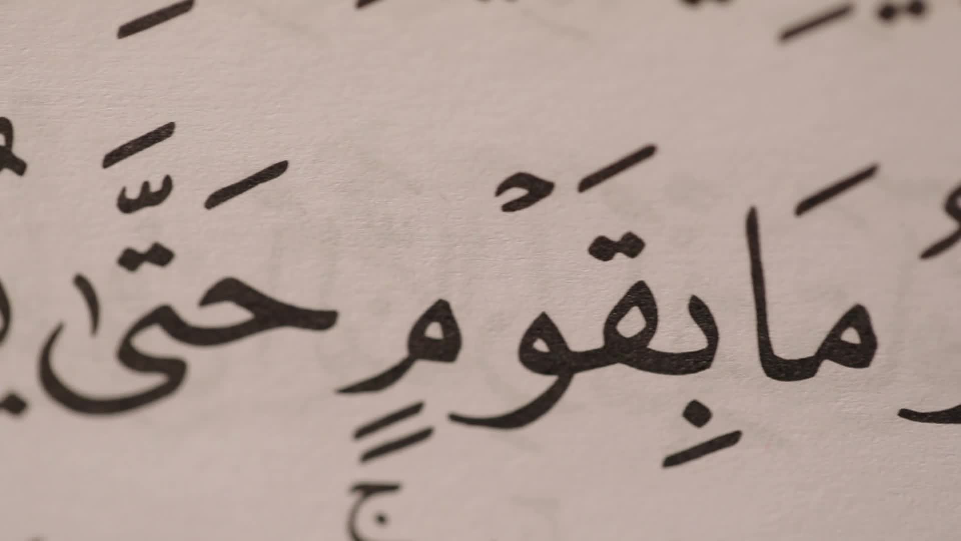 الحلقة 6