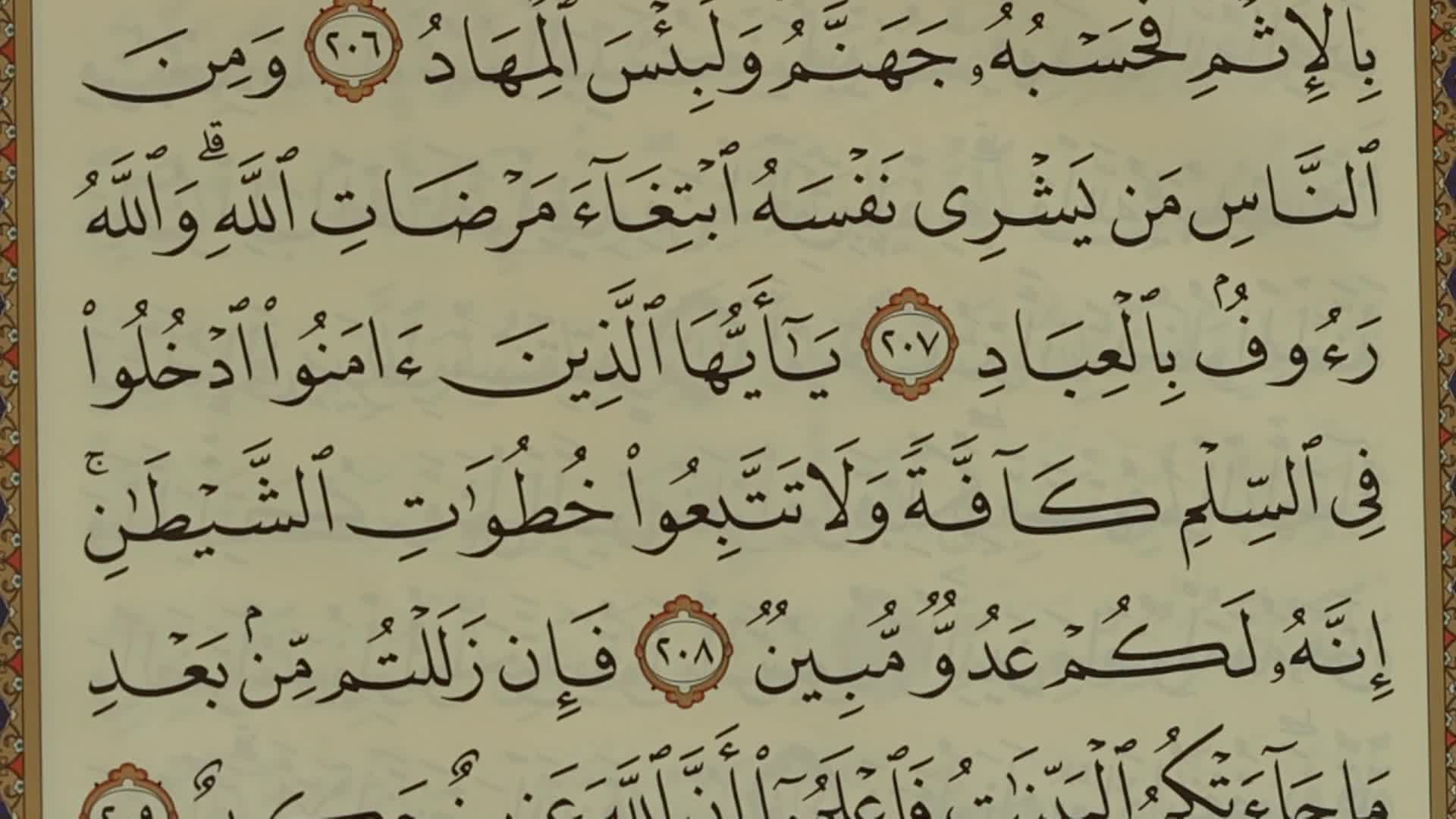 الحلقة 10