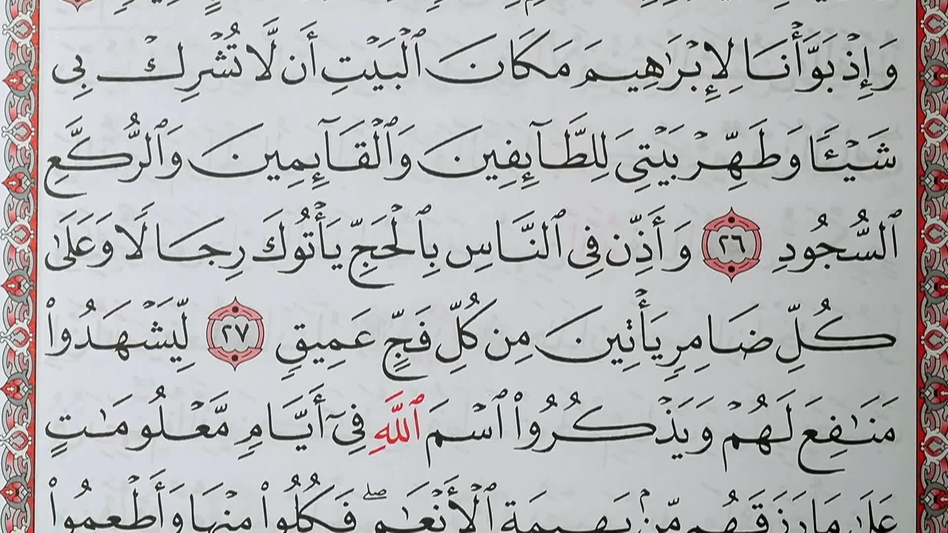 الحلقة 14