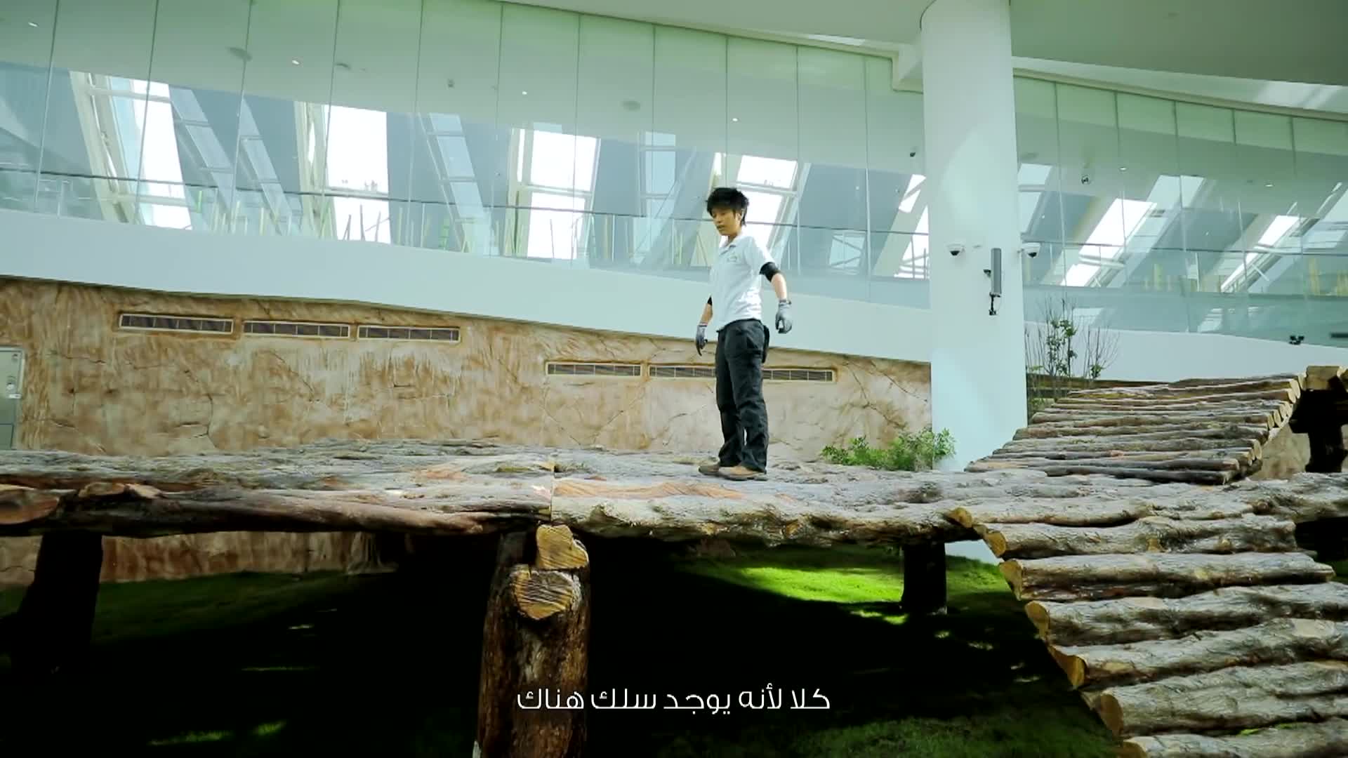 بيت الباندا
