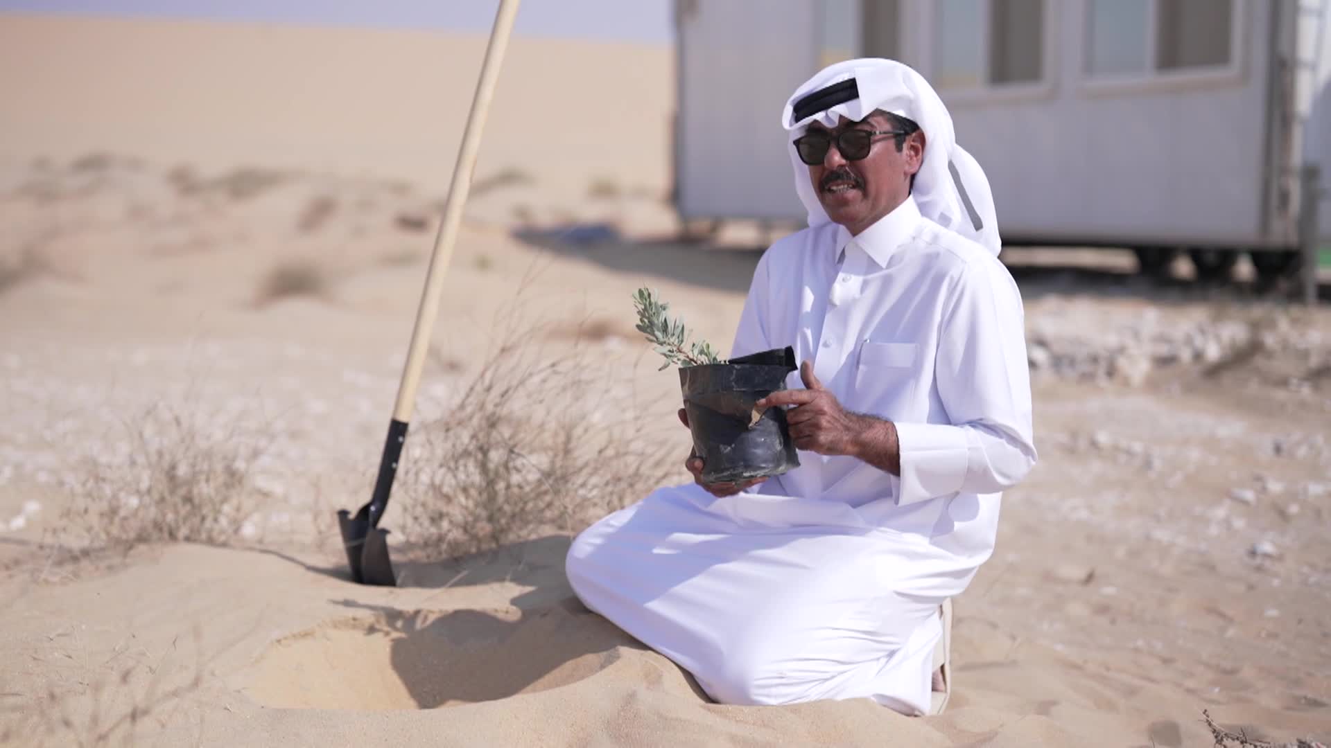 الحلقة 10