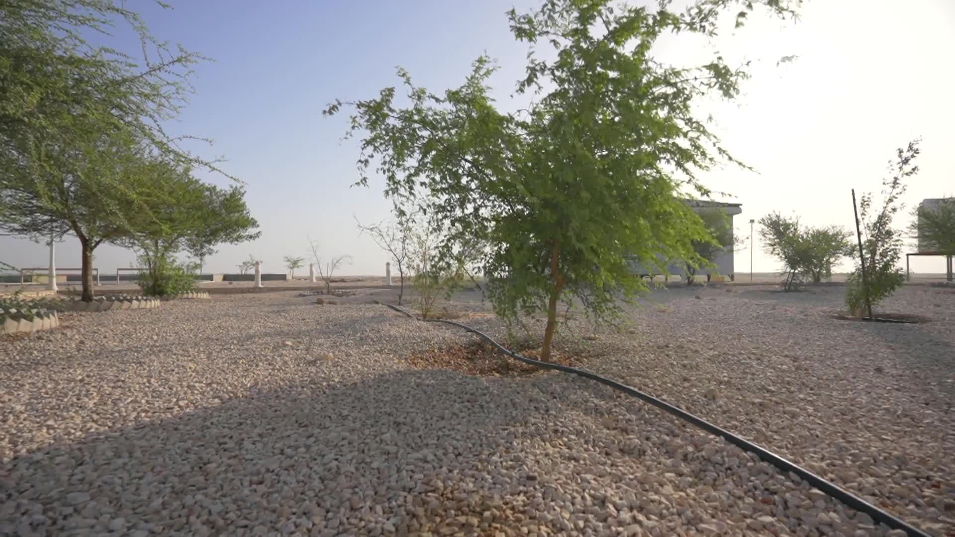 الحلقة 2
