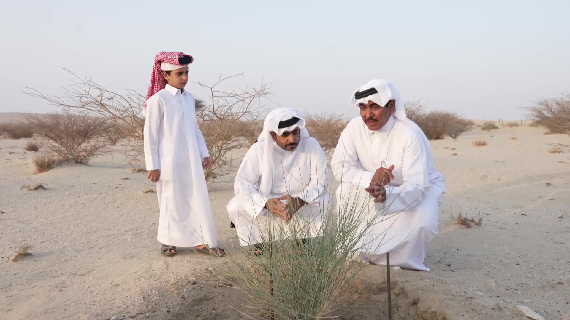 الحلقة 6