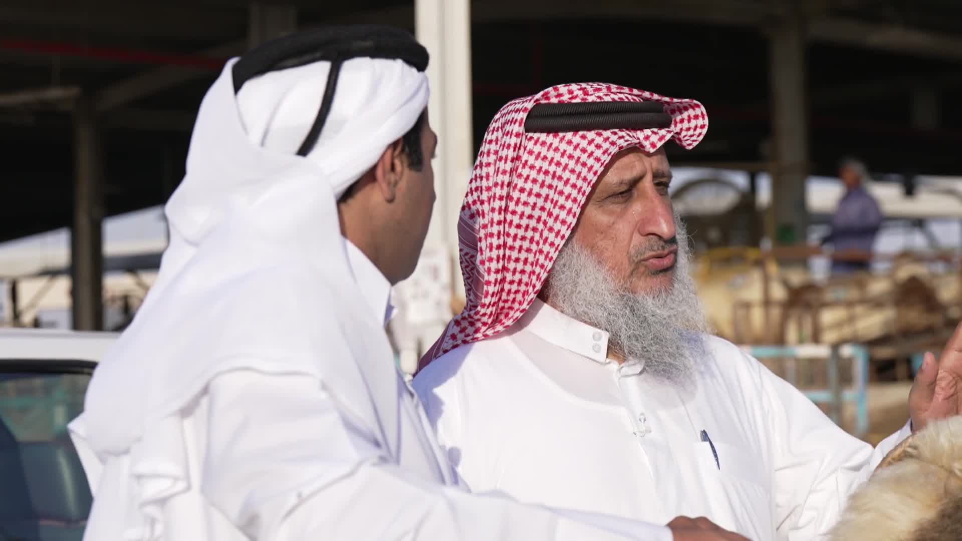 الحلقة 5