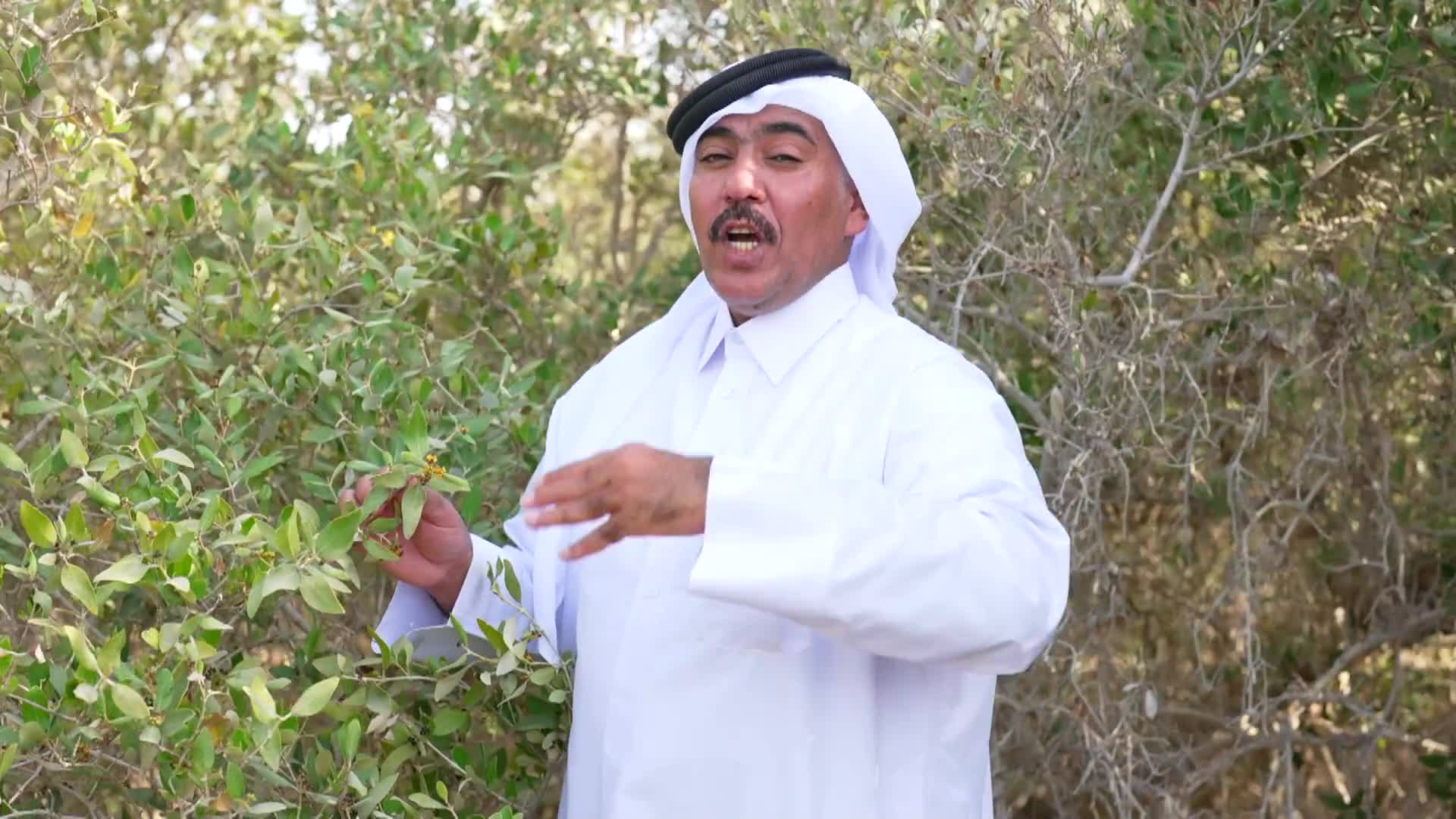 الحلقة 1