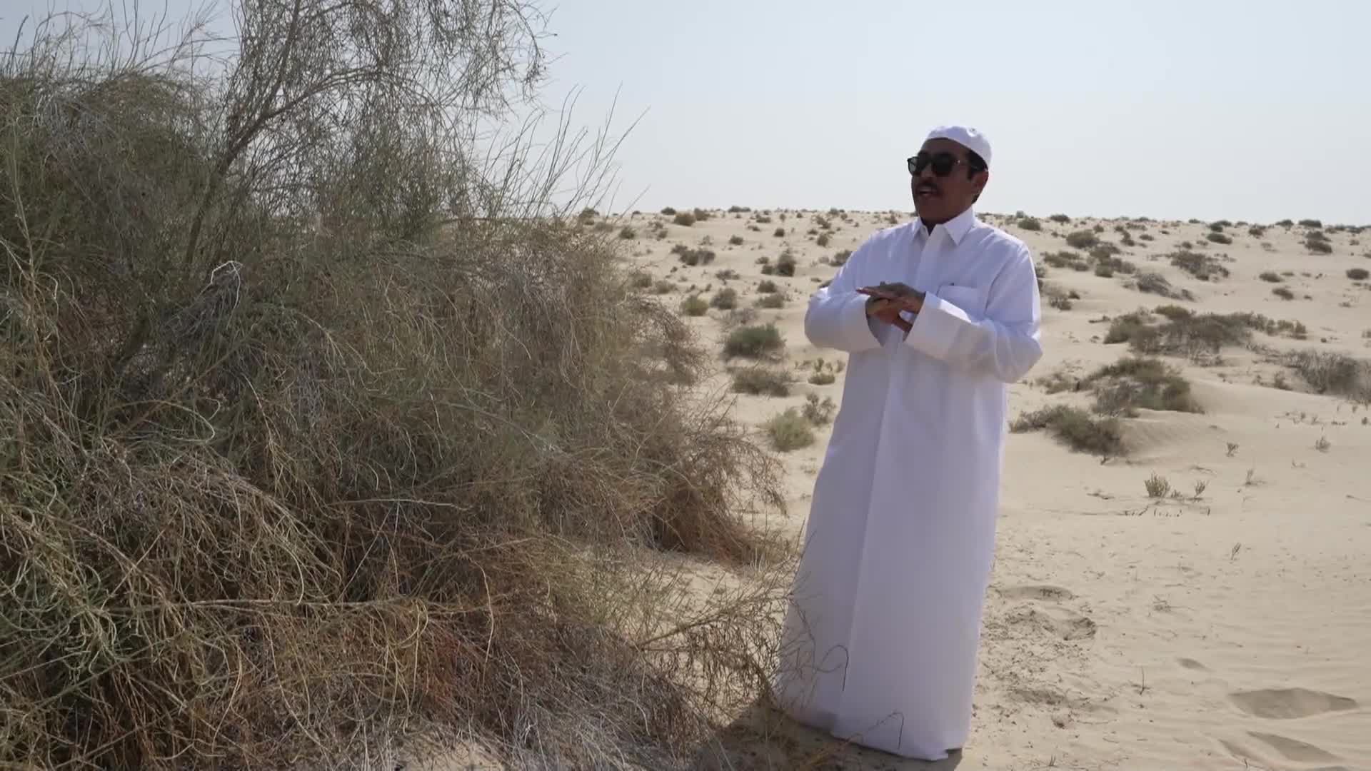 الحلقة 4