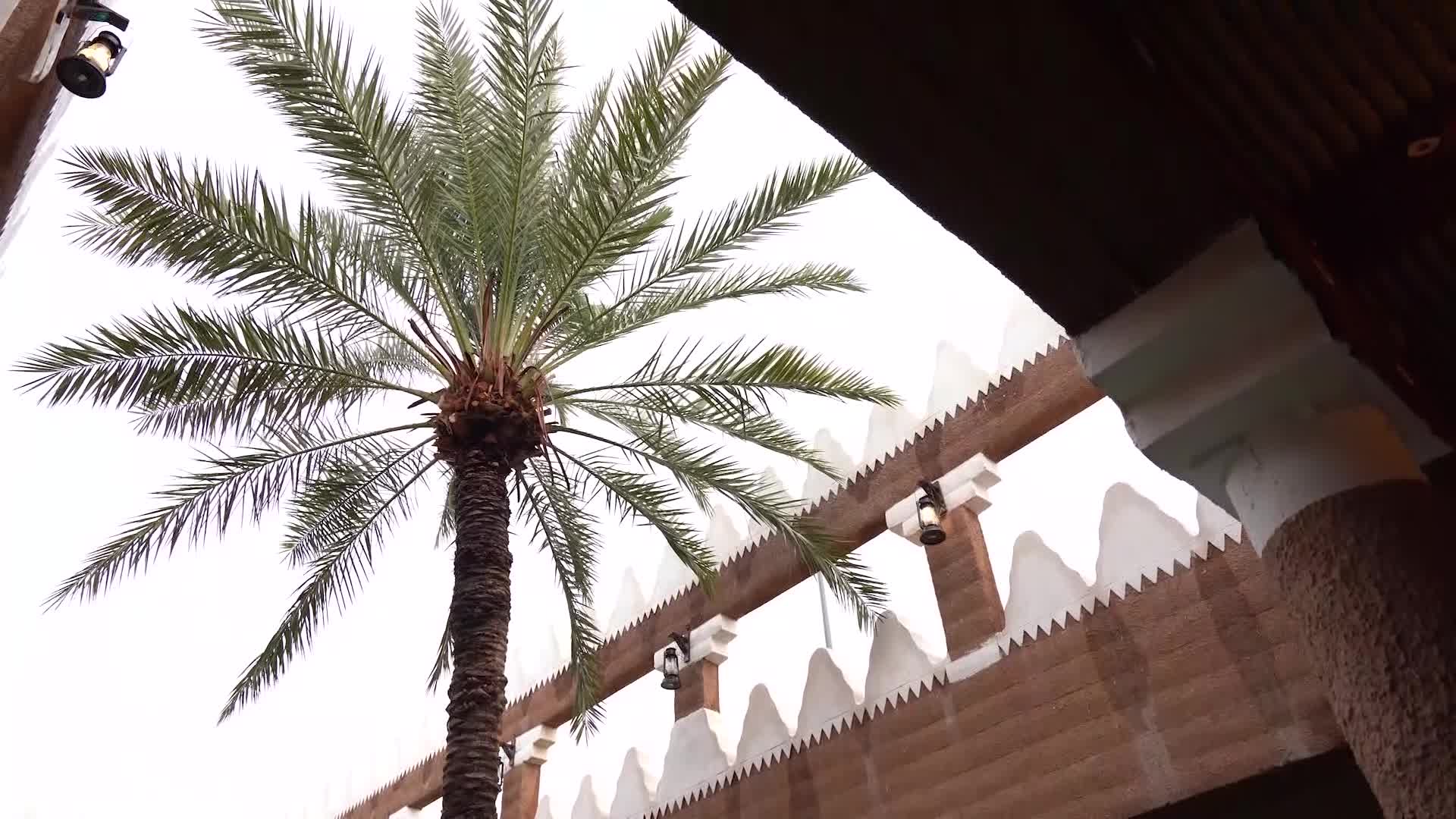 الحلقة 5 ملصق