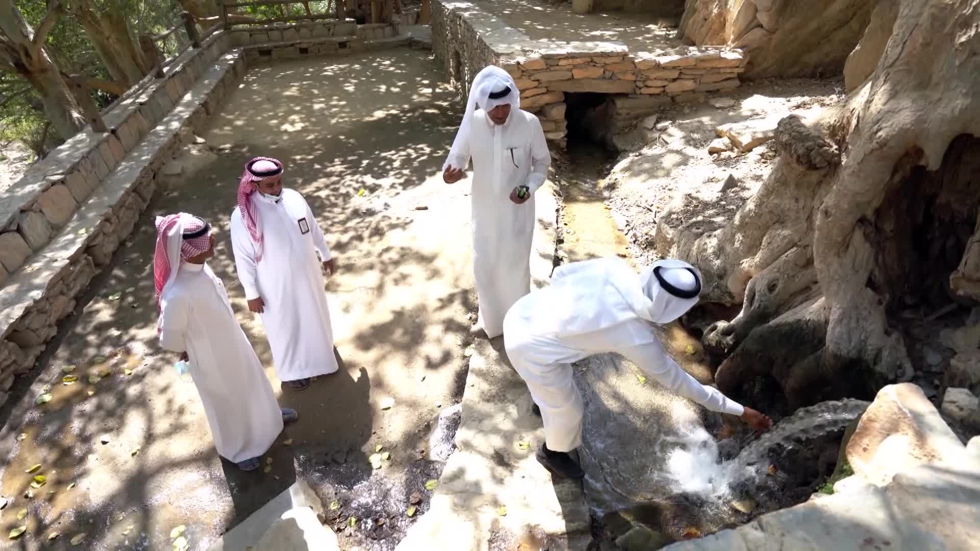 الحلقة 9 ملصق