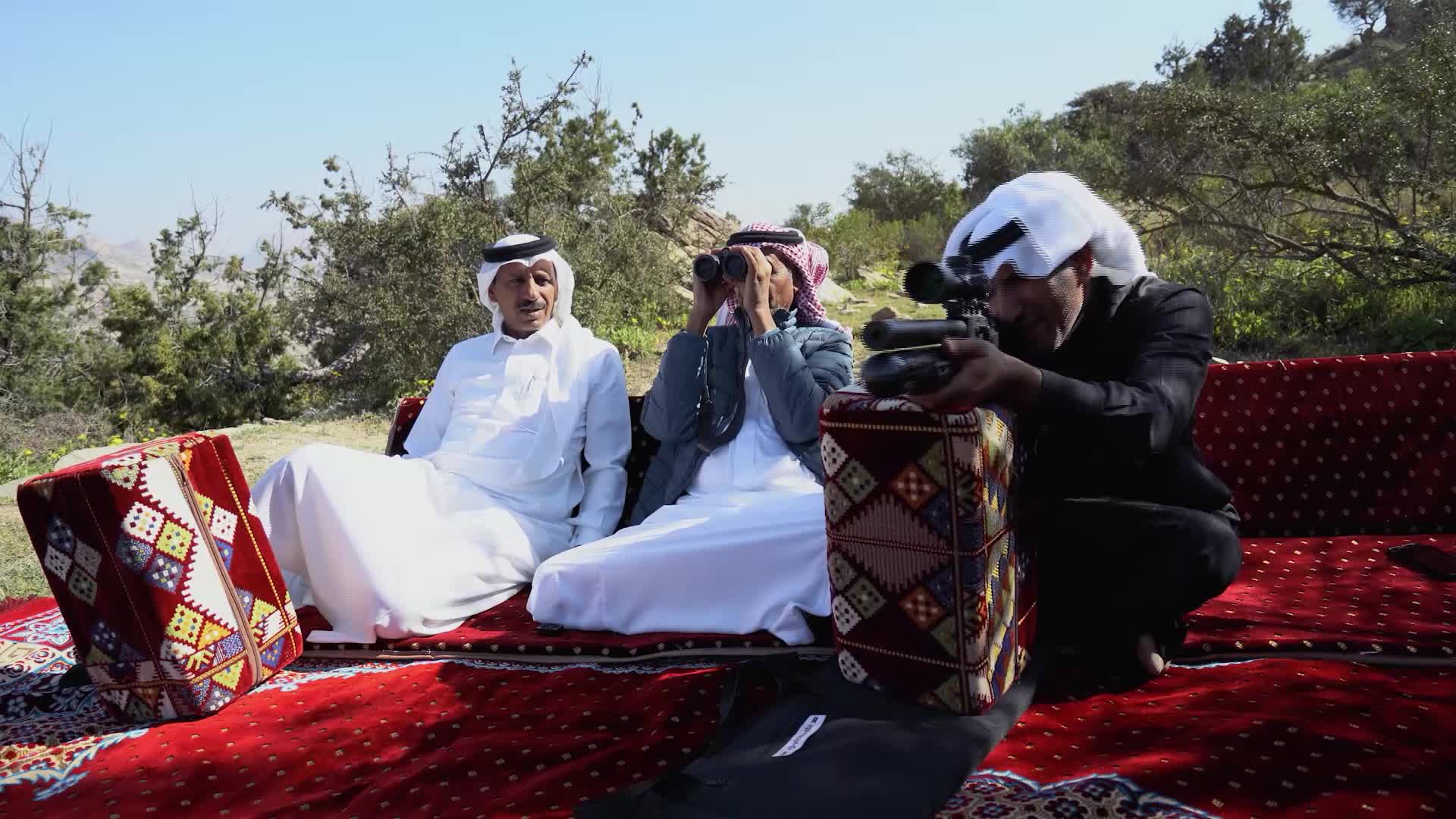 الحلقة 11 ملصق