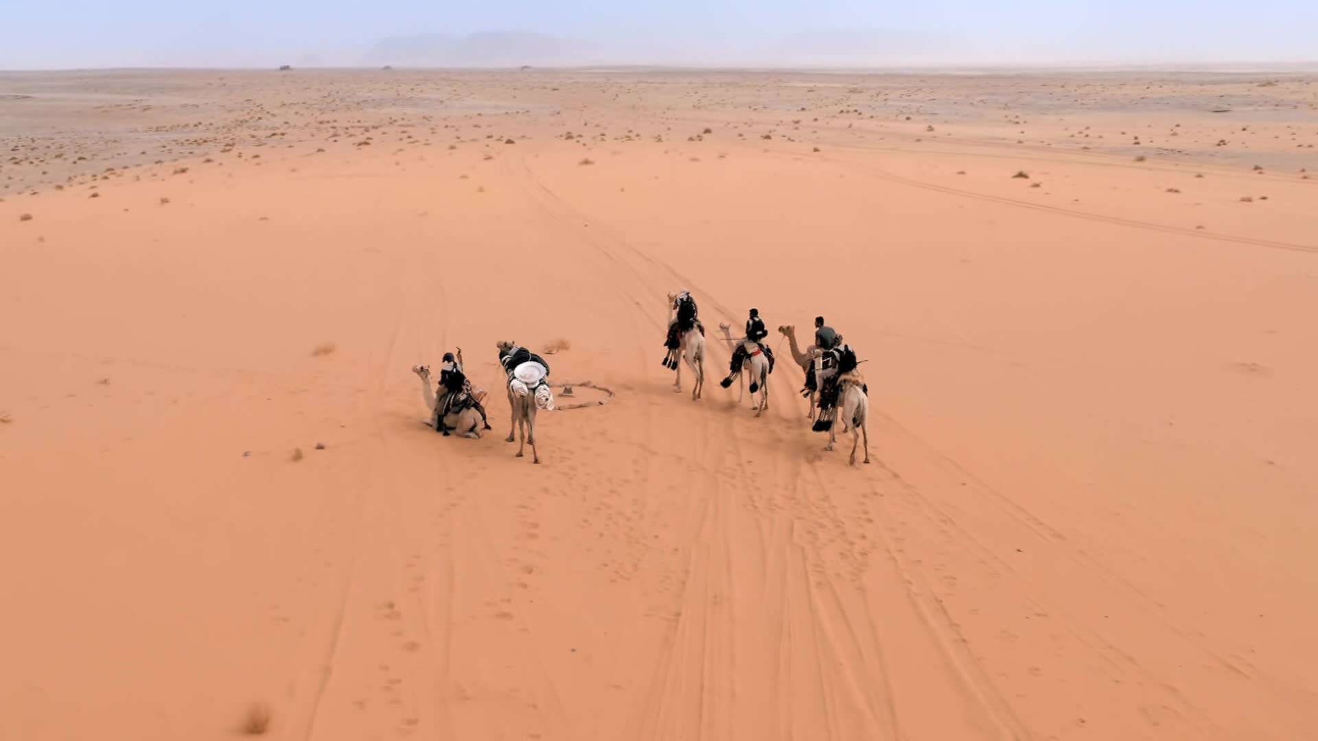 الحلقة 6 ملصق