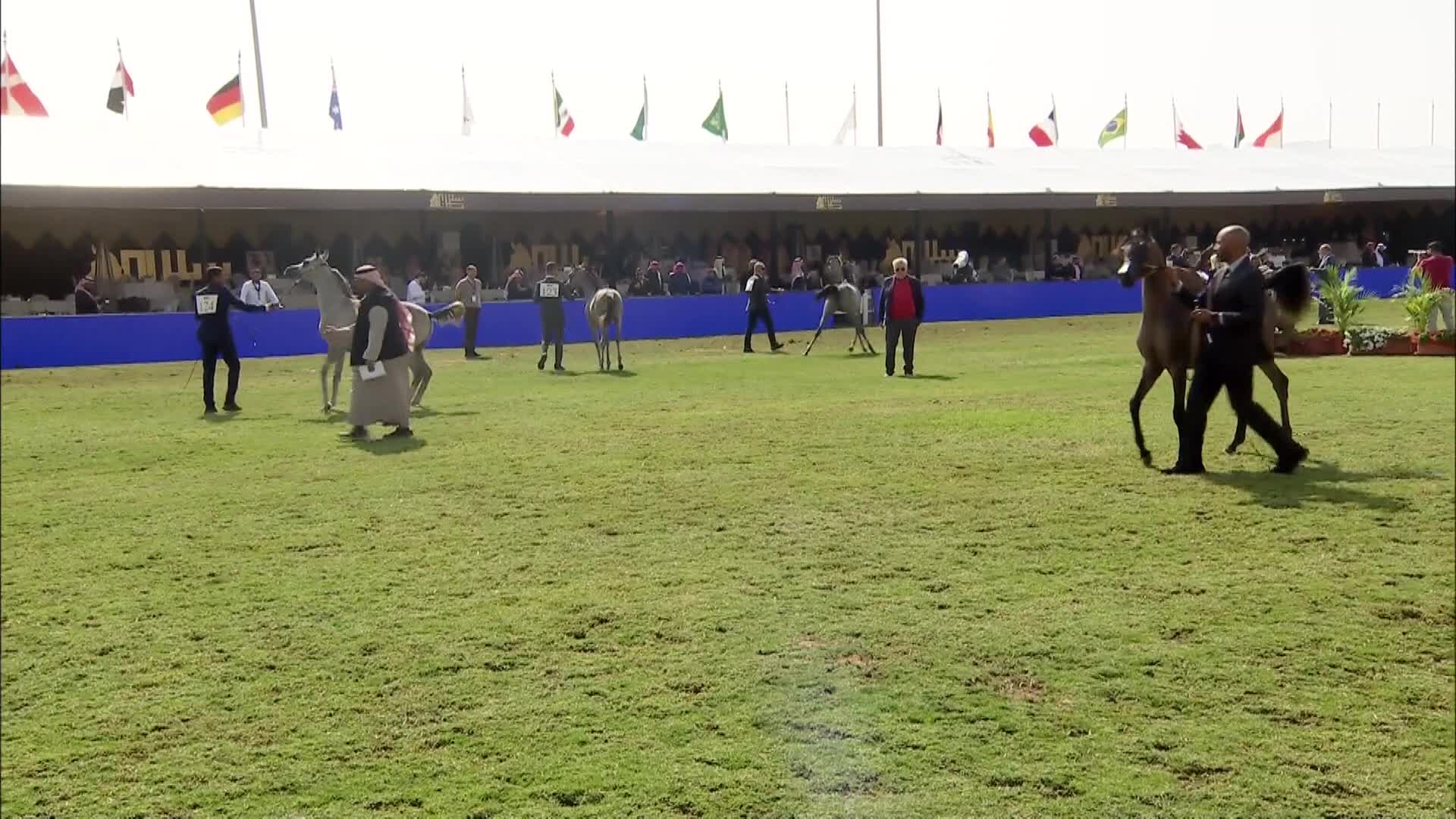 الشوط الأول ملصق