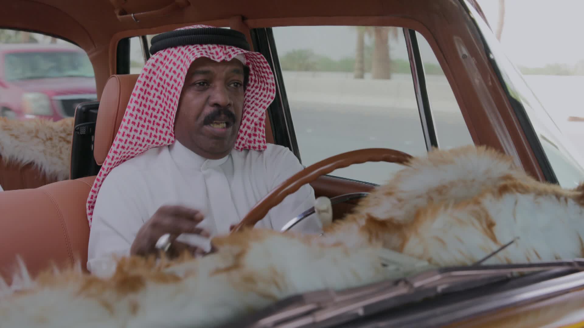 الحلقة 20» poster