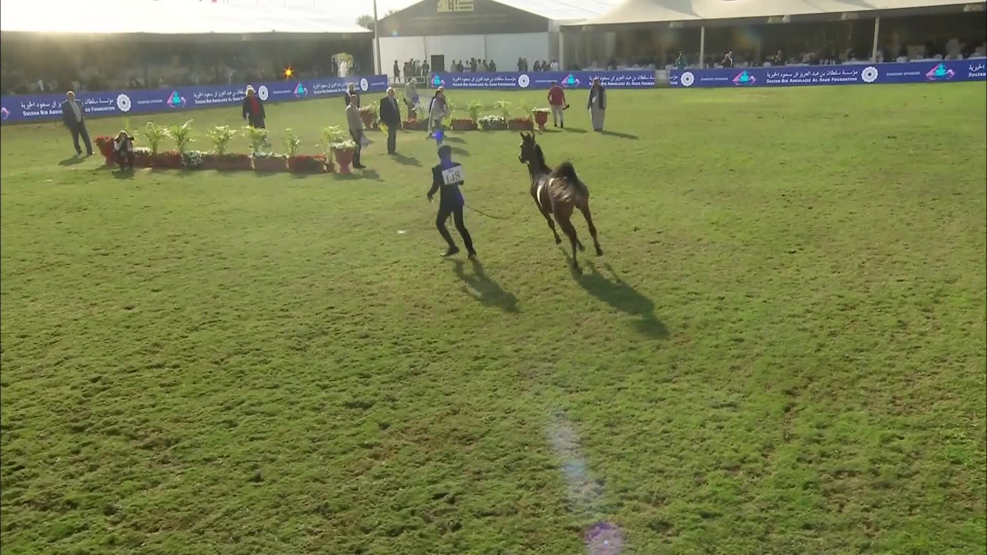 الشوط الثالث ملصق