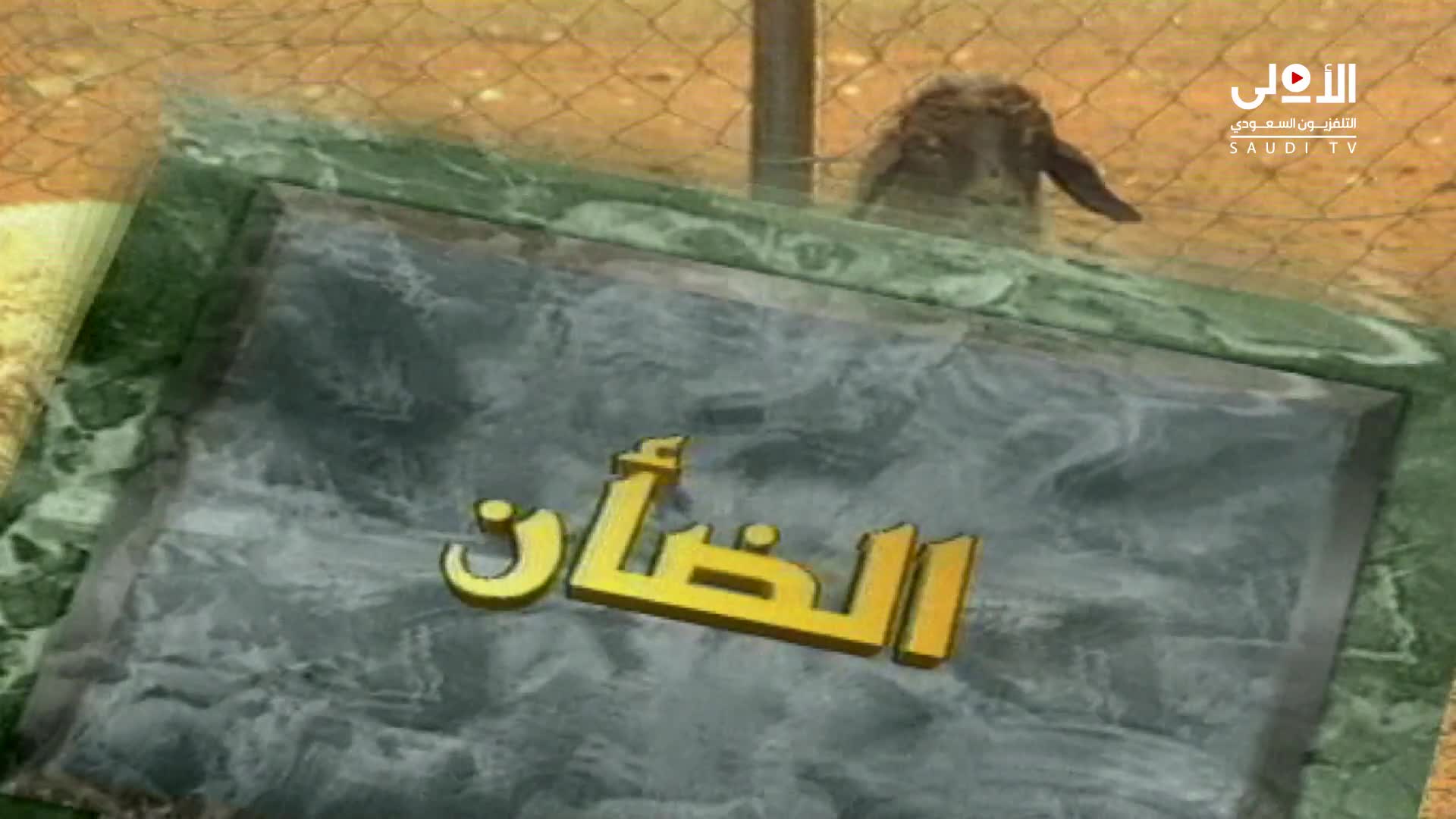 الحلقة 21» poster