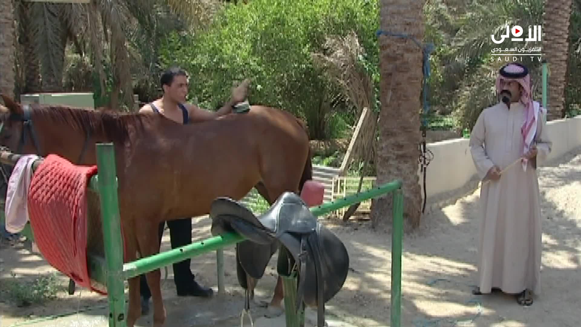 الحلقة 15 ملصق