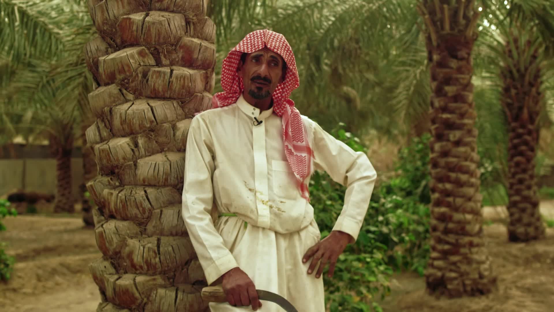 الحلقة 6» poster
