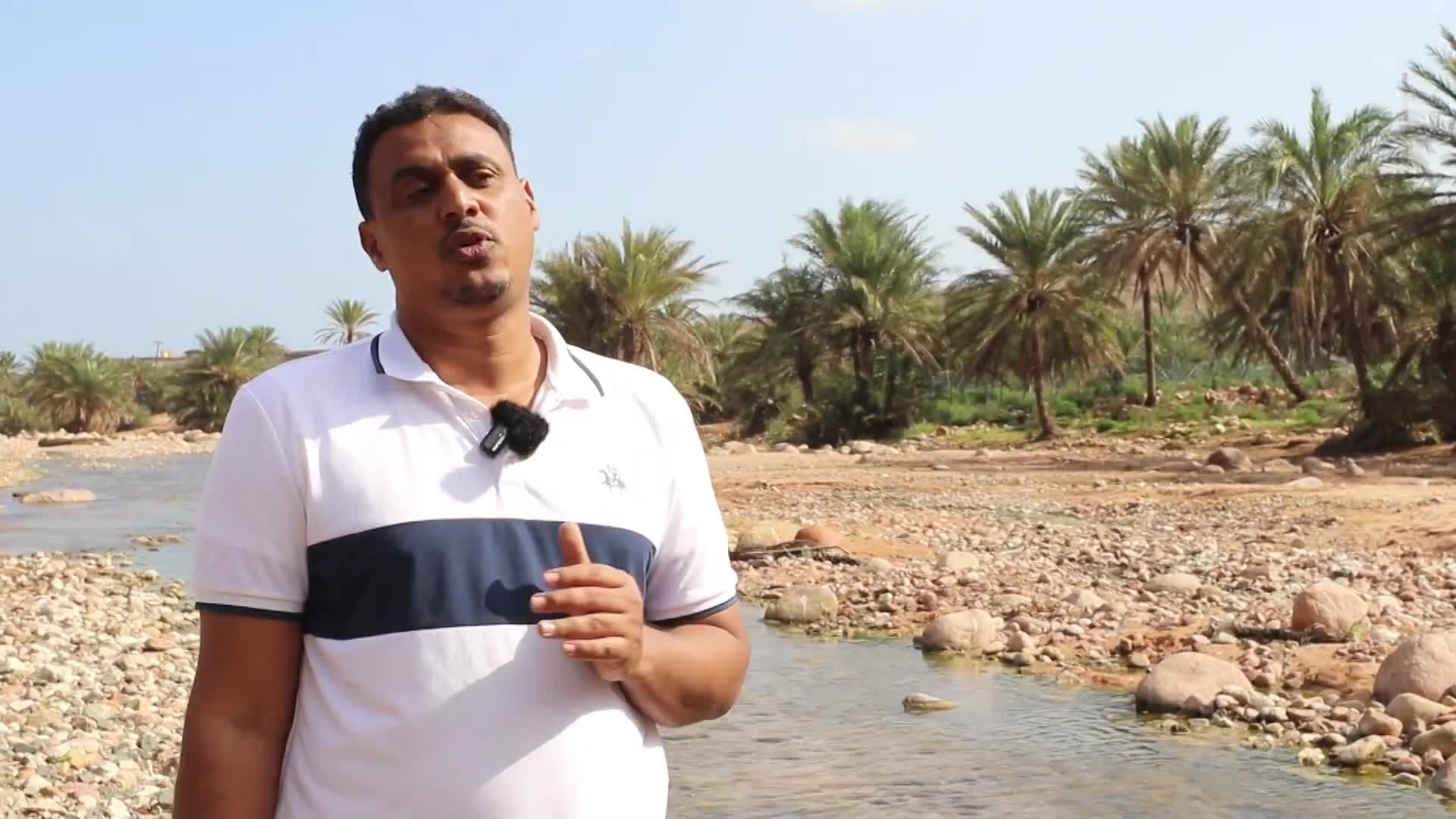 الحلقة 11 ملصق